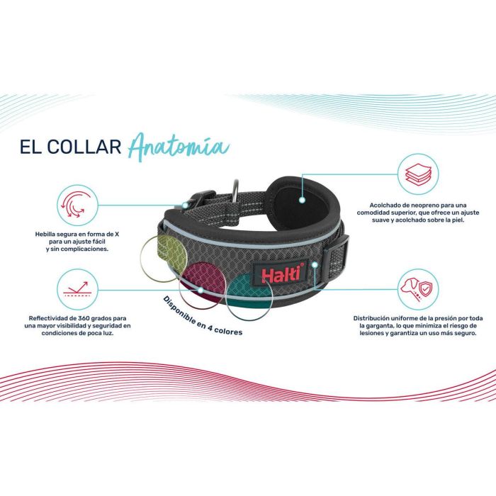 Collar para Perro Company of Animals Gris