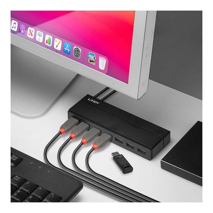 Lindy Hub USB 3.0 de 7 Puertos con Carga BC 1.2 4