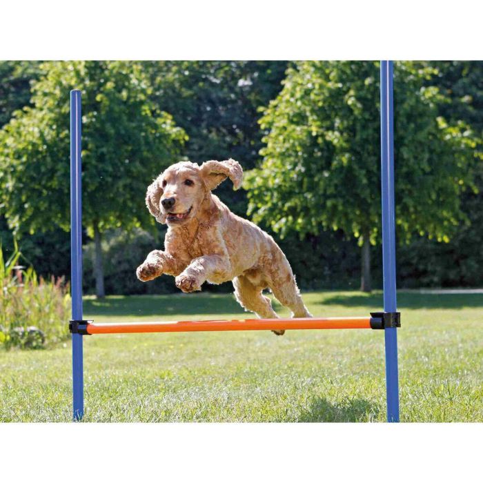 Juguete de adiestramiento Trixie 5