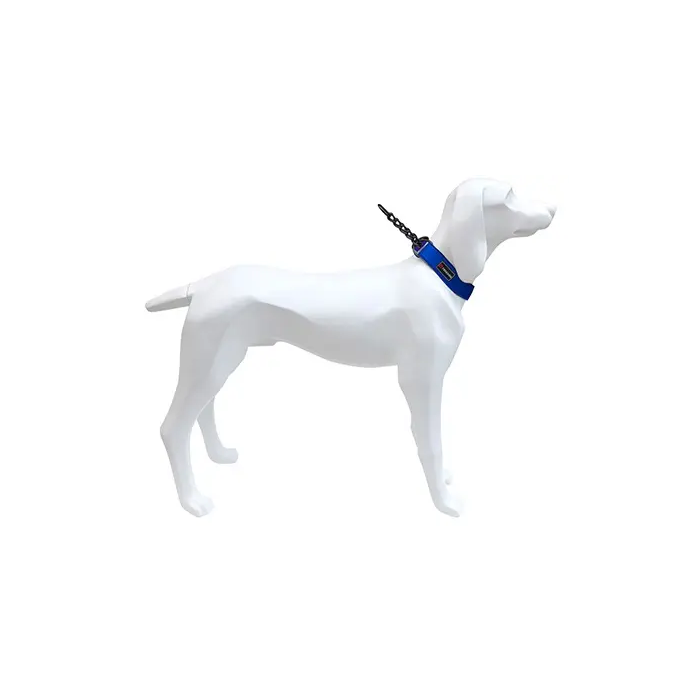 Freedog Collar Gun Azul 20 mm X 39-52 cm para perros