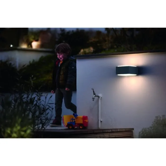 Philips Aplique Pared Exterior Hedgehog Antracita E27 42W IP44 Iluminación Bidireccional Aluminio 3