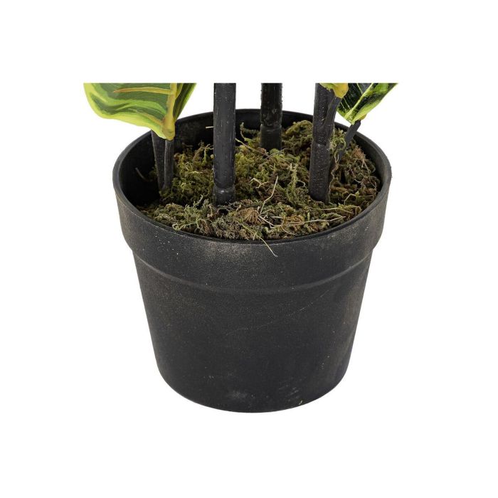 Planta Urban DKD Home Decor Verde 40 x 90 x 40 cm 2 Planta Urban DKD Home Decor Verde 40 x 90 x 40 cm 2