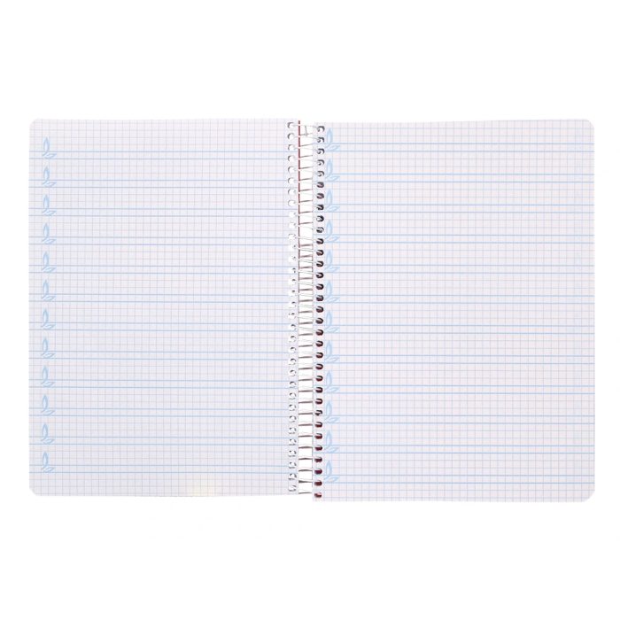 Liderpapel Cuaderno espiral A5 Pautaguía Tapa Plástico 80 Hojas 90gr Cuadro Pautado 4mm con Margen Color Azul 6