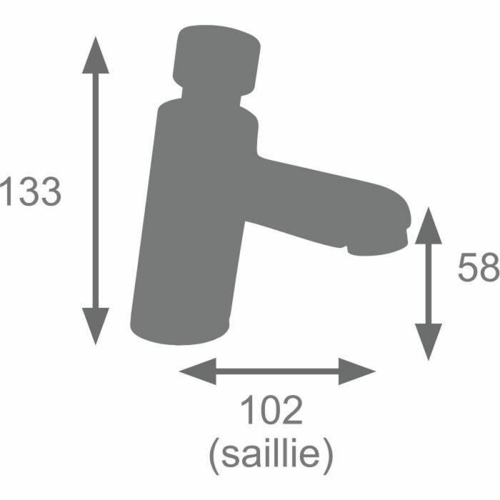 Edouard Rousseau Mezclador de lavabo EDO3047404061098 Temporizado Cromo 1 Edouard Rousseau Mezclador de lavabo EDO3047404061098 Temporizado Cromo 1