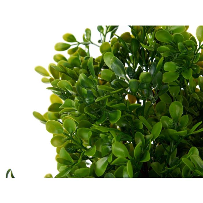 Maceta Plastico Negra Grande Plantas Verdes Surtidos Ibergarden 25X50CM (3 Unidades) 2 Maceta Plastico Negra Grande Plantas Verdes Surtidos Ibergarden 25X50CM (3 Unidades) 2