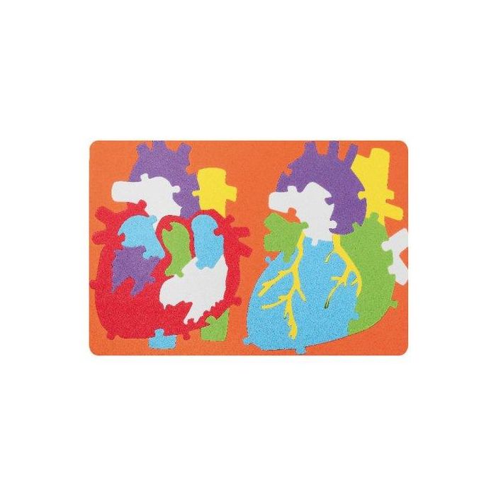Goma Eva Fixo Kids Puzle 23X32 Cm. Sistema Cardiaco