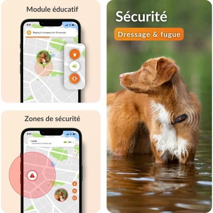 Weenect WEE3770000300413 Rastreador GPS para Perros, Modelo XS, Edición 2023, Color Negro 4 Weenect WEE3770000300413 Rastreador GPS para Perros, Modelo XS, Edición 2023, Color Negro 4