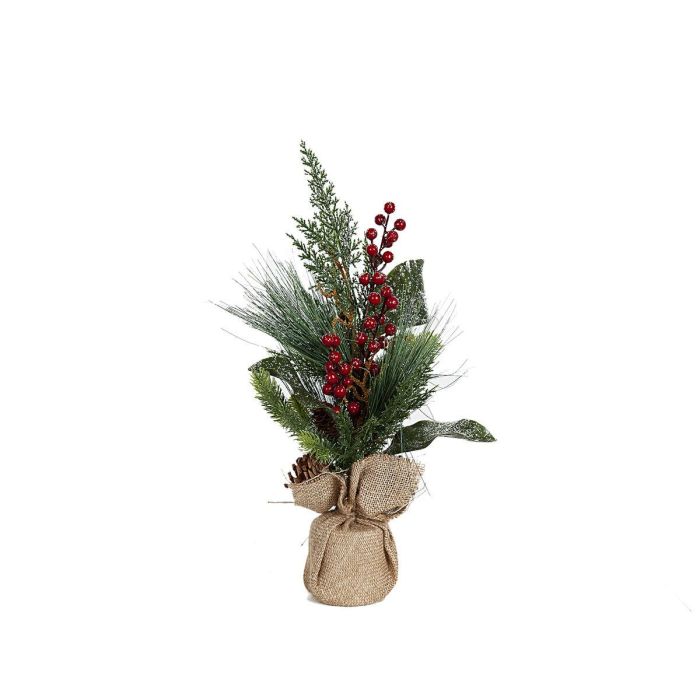 Planta Decorativa Romimex Rojo Verde Beige Piña de pino Abeto 12 x 48 x 12 cm Planta Decorativa Romimex Rojo Verde Beige Piña de pino Abeto 12 x 48 x 12 cm