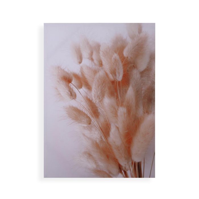 Lienzo Flores Espigadas 50x70 cm - Versa (2 Unidades)