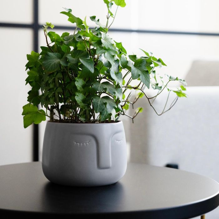 Vinthera Macetero Caras Cerámico Moa 12,5x10,5 cm 1