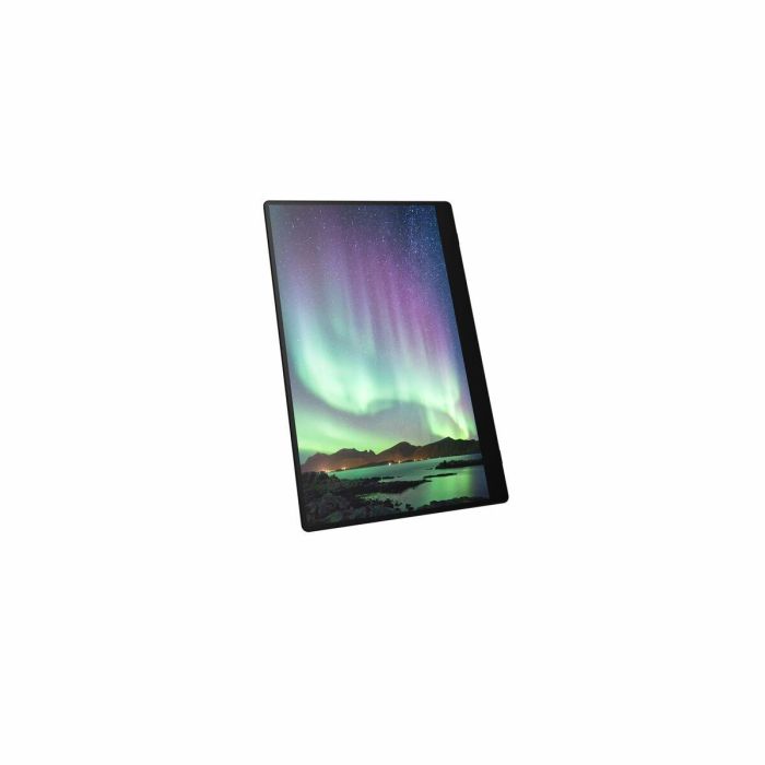 RICOH Monitor portatil 150 15,6" 3 RICOH Monitor portatil 150 15,6" 3