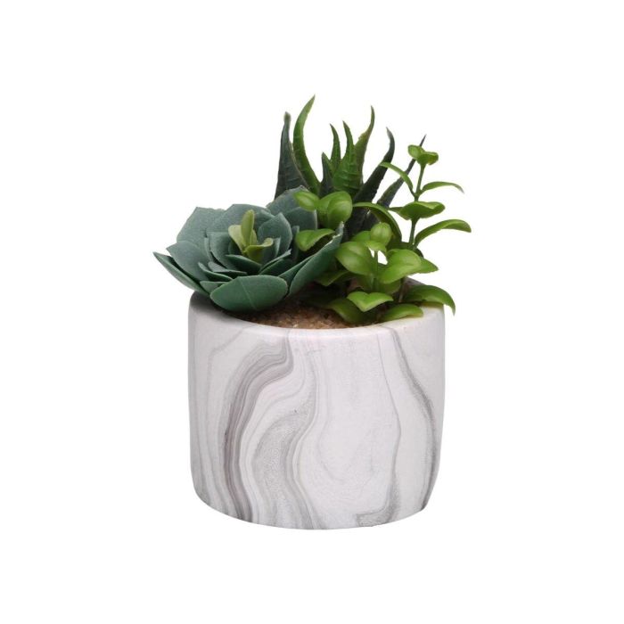 Planta Decorativa Versa Cerámica Plástico Fusion Suculenta 9 x 15 x 9 cm 1 Planta Decorativa Versa Cerámica Plástico Fusion Suculenta 9 x 15 x 9 cm 1