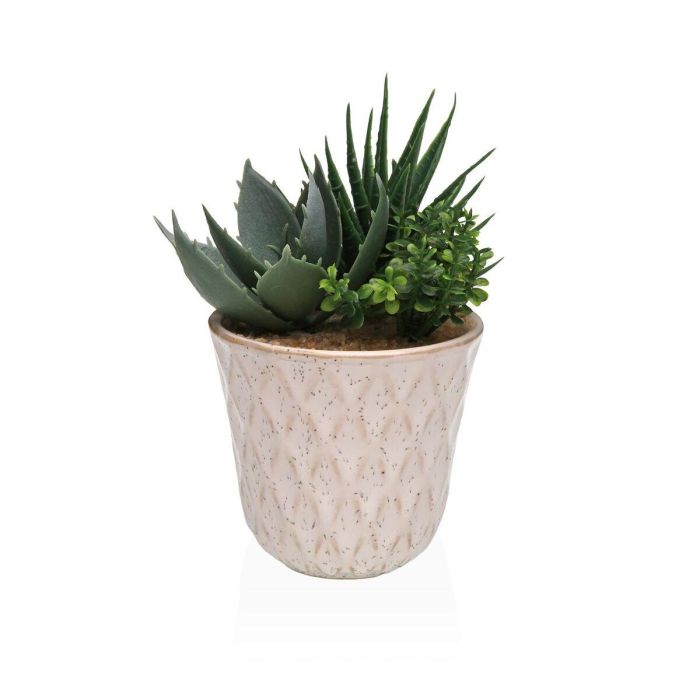 Planta Decorativa Versa Cerámica Plástico Fusion Suculenta 7,8 X 14 X 7,8 CM 0 Planta Decorativa Versa Cerámica Plástico Fusion Suculenta 7,8 X 14 X 7,8 CM 0