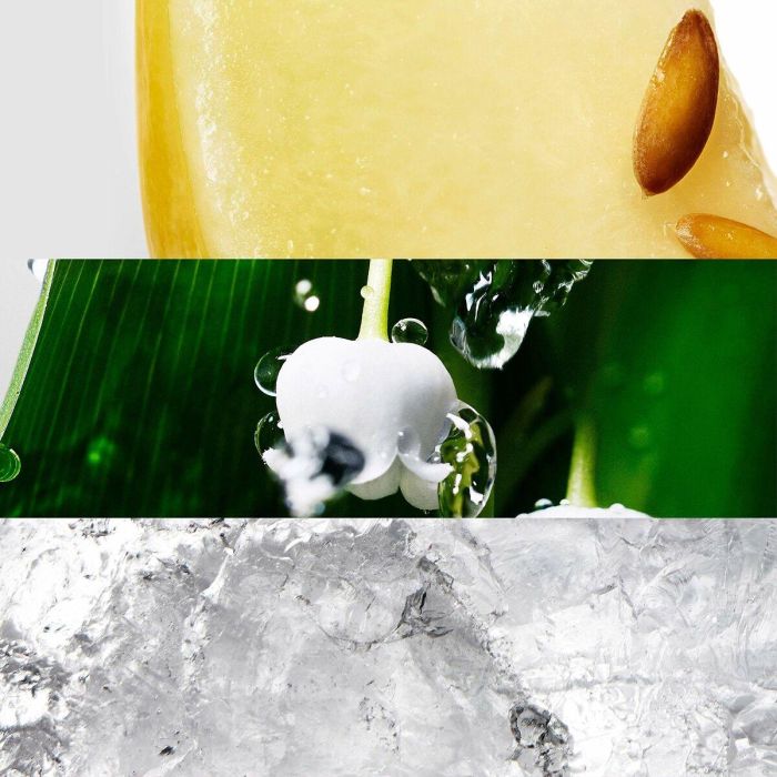 Davidoff Cool Water Woman Eau de Toilette 50 ml Vaporizador. Perfume Femenino Floral Acuático. Aroma Fresco y Sensual para Mujer. 5 Davidoff Cool Water Woman Eau de Toilette 50 ml Vaporizador. Perfume Femenino Floral Acuático. Aroma Fresco y Sensual para Mujer. 5