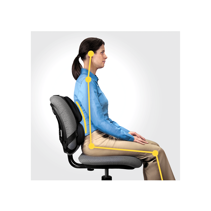 Fellowes Respaldo Ergonómico Profesional con Memory Foam de 3 Secciones, Adaptable a la Curvatura de la Espalda, Color Negro 2