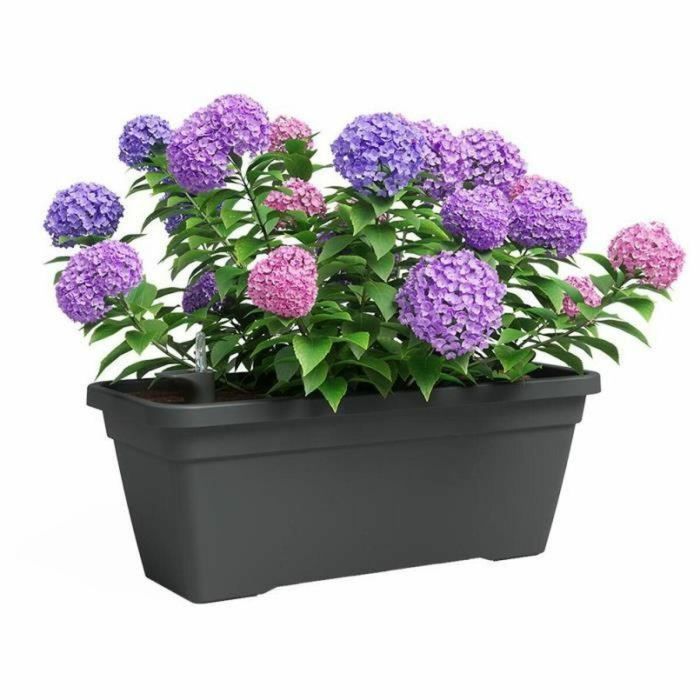 Jardinera - Plástico - Antracita - Rectangular - L57,9 x P24,3 x H22cm - ARTEVASI 1