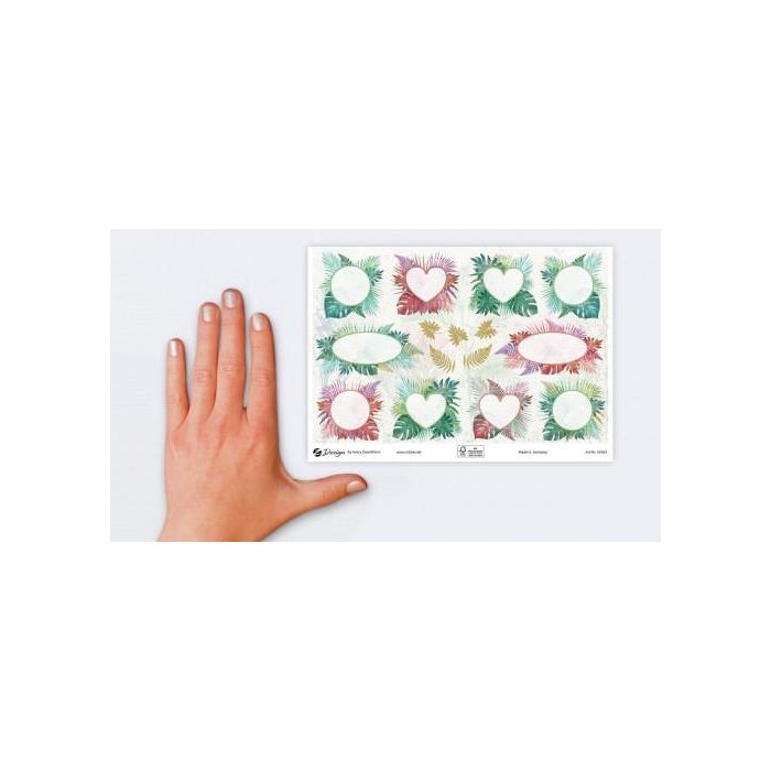 Avery 54564 Sobres 76x120mm con 2 Hojas y 30 Pegatinas Fondo Jardín Adhesivo Desmontable Mate 2