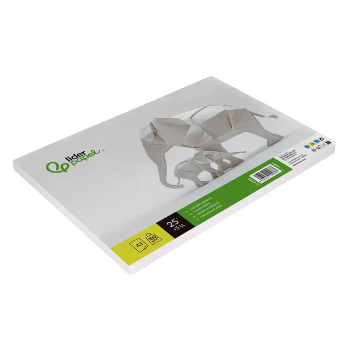 Liderpapel Cartulina A3 180g/m2 Blanco Paquete 30 Hojas en Carpeta Dossier Transparente con Cierre 3