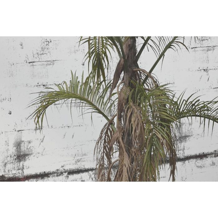 Espejo de pared Home ESPRIT Verde Dorado Colonial 60 x 4 x 120 cm 60 x 3,5 x 120 cm 2 Espejo de pared Home ESPRIT Verde Dorado Colonial 60 x 4 x 120 cm 60 x 3,5 x 120 cm 2