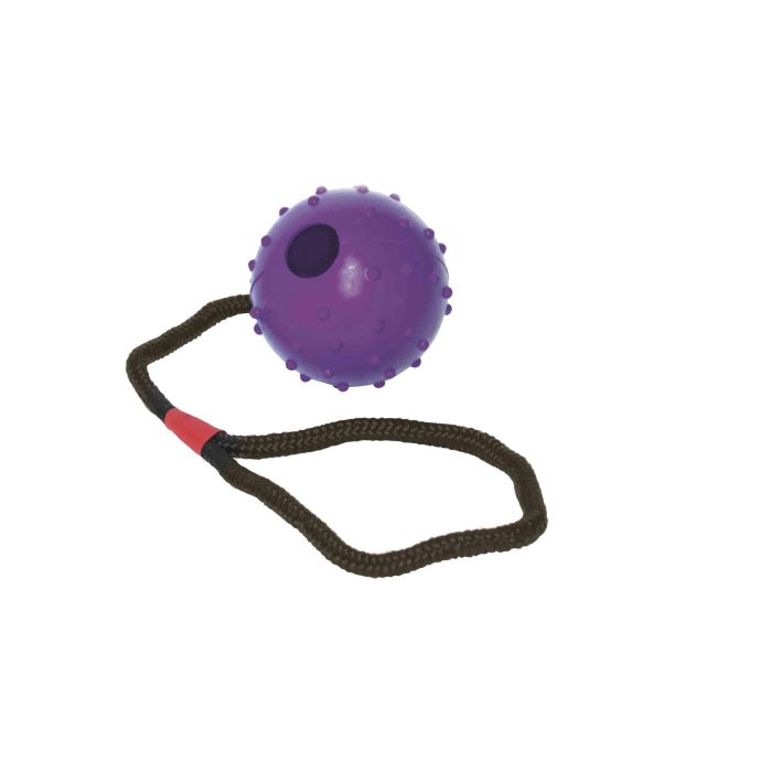 Gloria Pelota de Goma Flexible y Resistente con Cuerda para Perros | Juguete Dispensador de Premios Diám. 7cm L. 30cm Surtida 2 Gloria Pelota de Goma Flexible y Resistente con Cuerda para Perros | Juguete Dispensador de Premios Diám. 7cm L. 30cm Surtida 2
