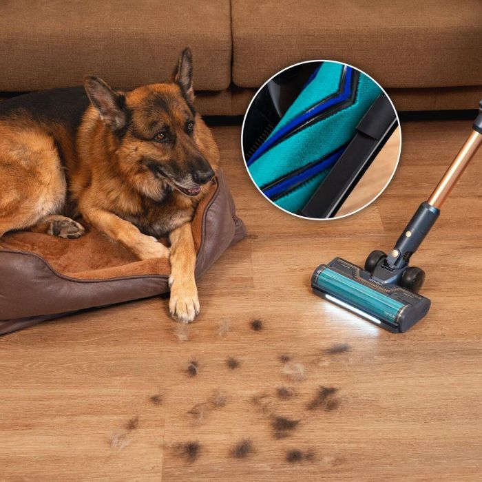 Aspirador Escoba Cecotec RX70 AquaPet Flex 800 W 13