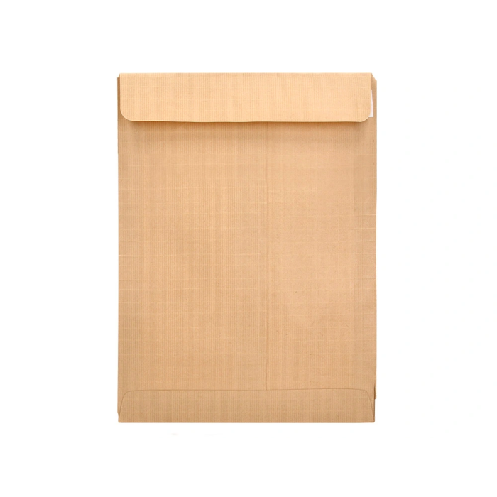 Liderpapel Bolsa Kraft N.13 310x410 mm con Tira de Silicona Caja 250 Unidades 4