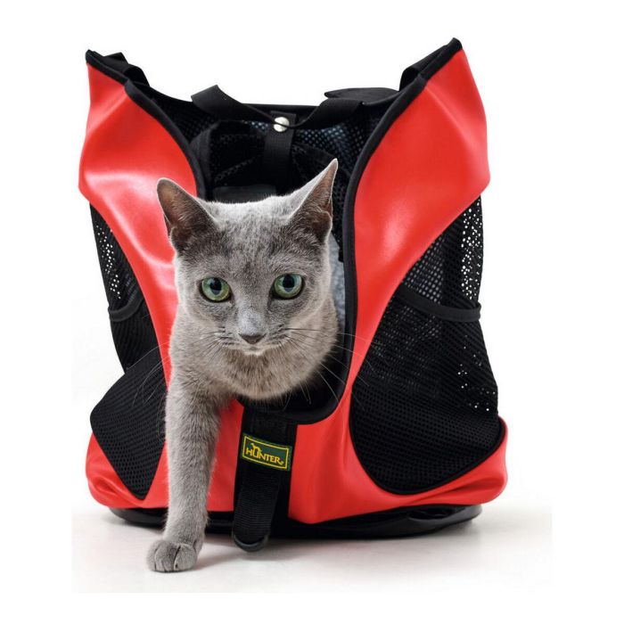 Mochila para Mascotas Hunter Taylor Rojo (35 x 20 x 40 cm) 4