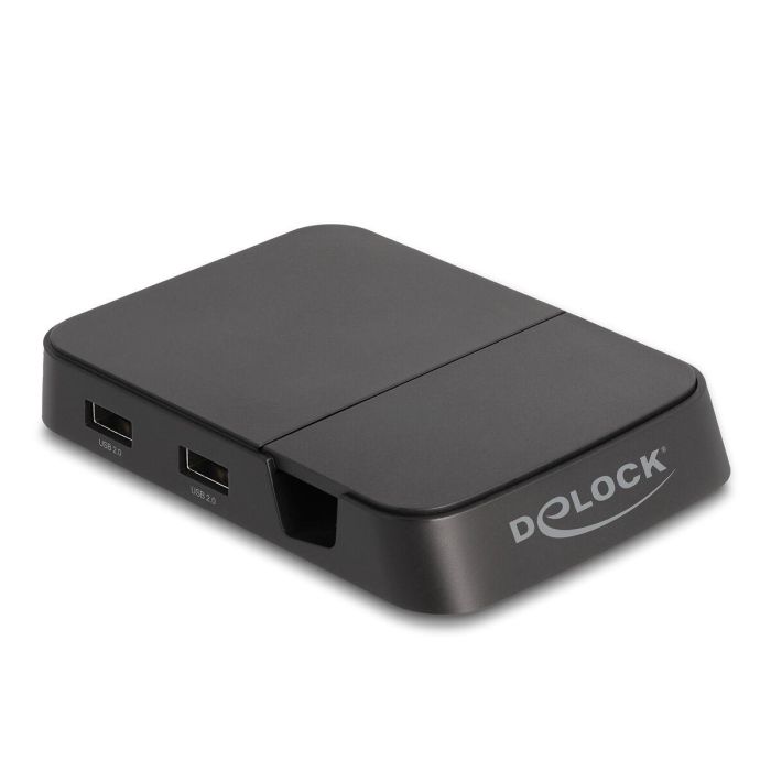 Dock/Base de carga DELOCK 88018 Negro 3 Dock/Base de carga DELOCK 88018 Negro 3
