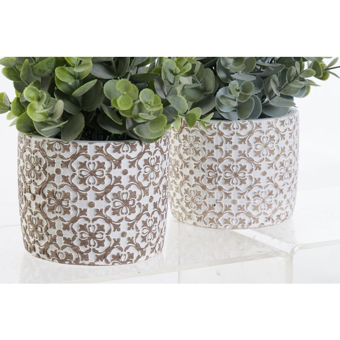 Planta Decorativa DKD Home Decor Jarrón Verde Resina PE (10,5 x 10,5 x 24 cm) (2 Unidades) 1 Planta Decorativa DKD Home Decor Jarrón Verde Resina PE (10,5 x 10,5 x 24 cm) (2 Unidades) 1
