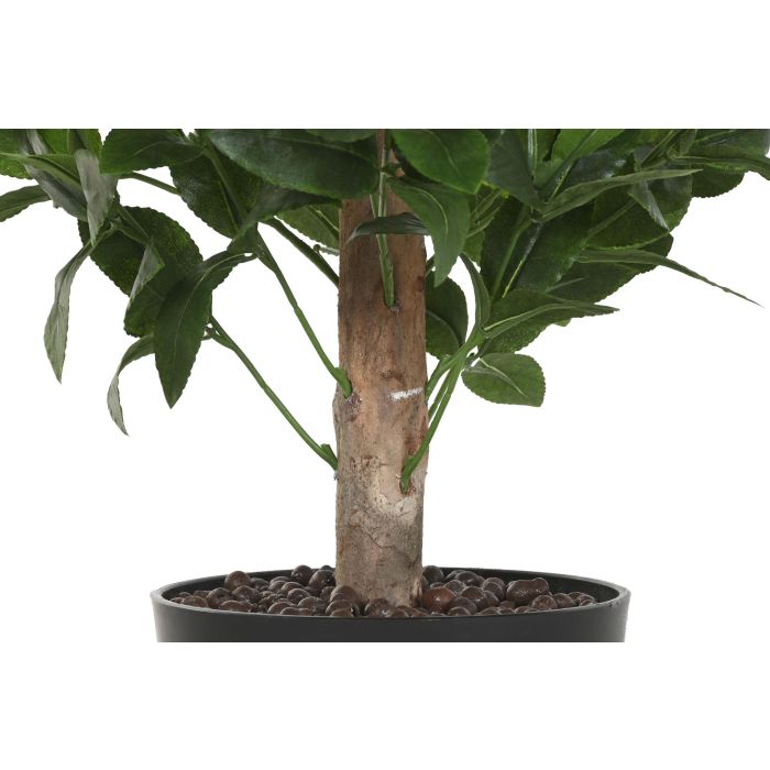 Arbol Tropical DKD Home Decor Verde Marron 50 x 150 x 50 cm (2 Unidades) 2 Arbol Tropical DKD Home Decor Verde Marron 50 x 150 x 50 cm (2 Unidades) 2
