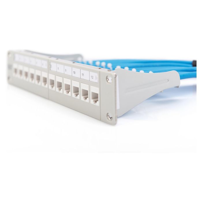 Digitus Patchpanel Modular 12 Puertos Digitus Patchpanel Modular 12 Puertos