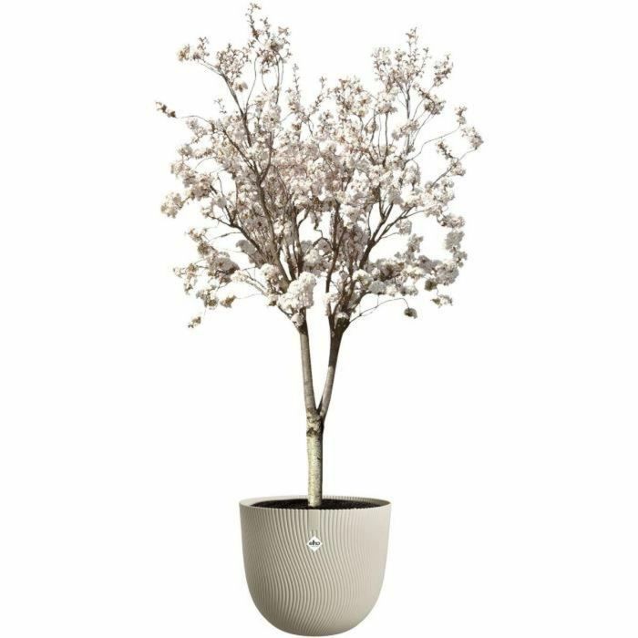 ELHO ELH8711904534974 Maceta Sereh Round Beige, Ø 47x40 cm, 100% reciclada 4 ELHO ELH8711904534974 Maceta Sereh Round Beige, Ø 47x40 cm, 100% reciclada 4