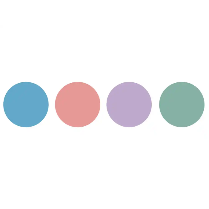 Additio Cuaderno Del Profesorado D-P Espiral Doble 256 Páginas PVC Cubiertas Surtidas 7