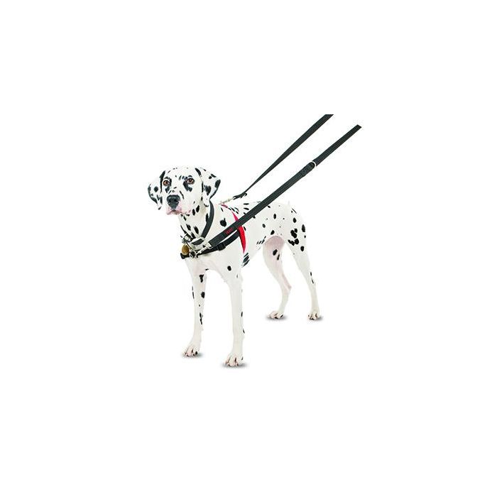 Halti Arnés de Control Delantero, ideal para Perros Medianos y Grandes, Talla L (cintura 80-120cm), Negro-Rojo 3
