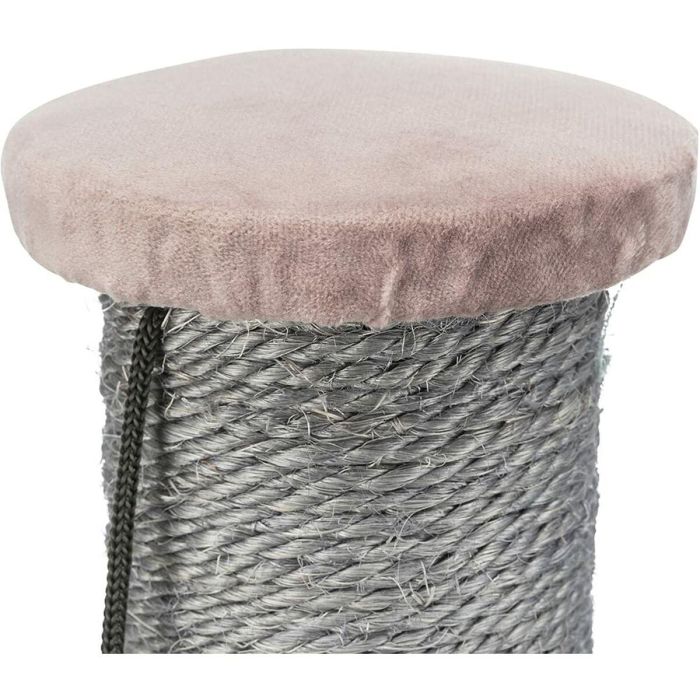 Rascador para Gatos Trixie Livia Rosa Ø 9 cm 64 cm 1 Rascador para Gatos Trixie Livia Rosa Ø 9 cm 64 cm 1