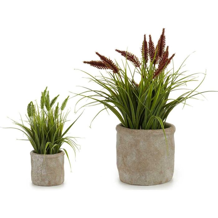 Espiga Maceta Cemento Cuerda Surtidos Ibergarden 12X30CM (8 Unidades) Espiga Maceta Cemento Cuerda Surtidos Ibergarden 12X30CM (8 Unidades)