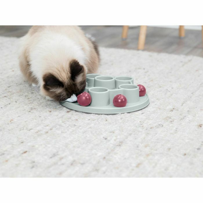 Trixie TRI4011905458953 Juego de Estrategia para Gatos Pentágono ø 28 cm 17