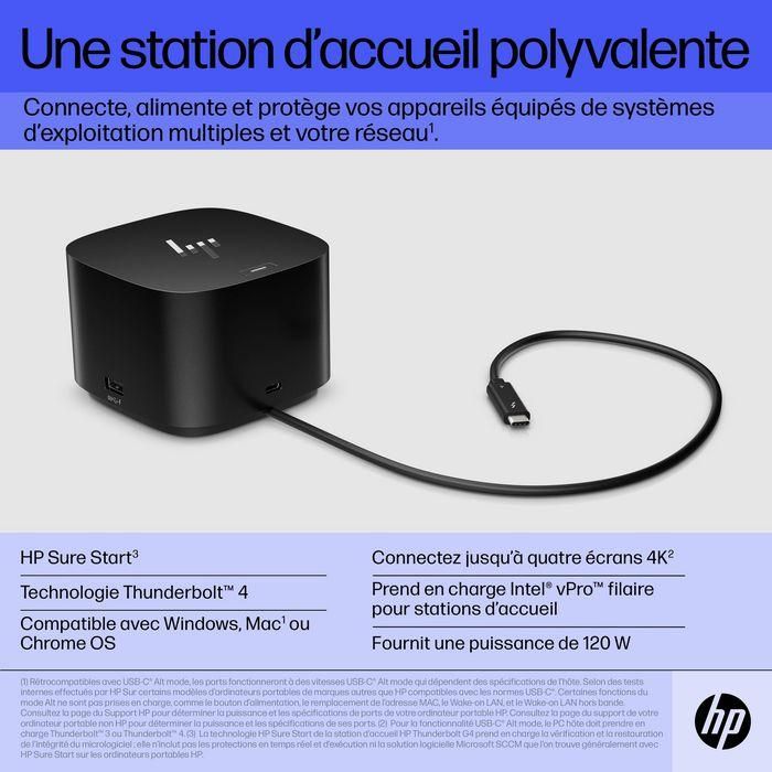 HP Thunderbolt Dock 120W G4 21 HP Thunderbolt Dock 120W G4 21