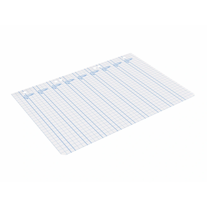 Liderpapel Recambio Cuarto 100 Hojas 75gr Cuadriculado Pautado 5mm con Margen y 6 Taladros 6