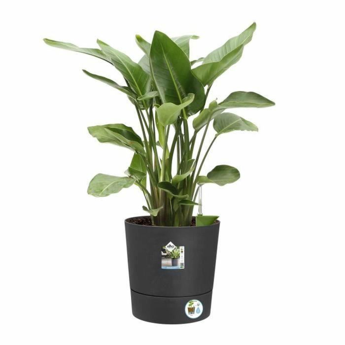 Elho Greensense Aqua Care Round 43 - Gris - Ø 43 x H 43 cm - interior/exterior - 100% reciclado 2 Elho Greensense Aqua Care Round 43 - Gris - Ø 43 x H 43 cm - interior/exterior - 100% reciclado 2