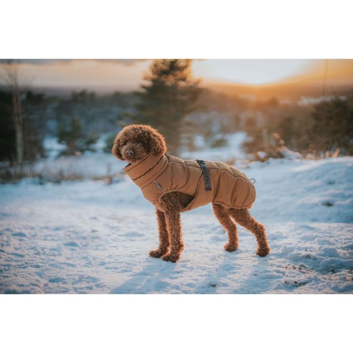Ropa para mascotas Hunter PAXSON Marrón Poliéster 2 Ropa para mascotas Hunter PAXSON Marrón Poliéster 2