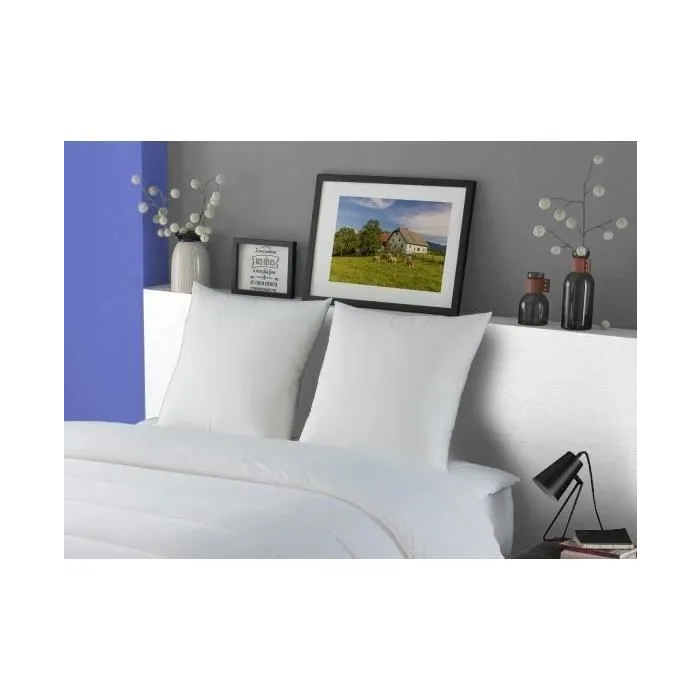 Dodo MERIBEL Set de 2 Almohadas Plumettes 60x60cm