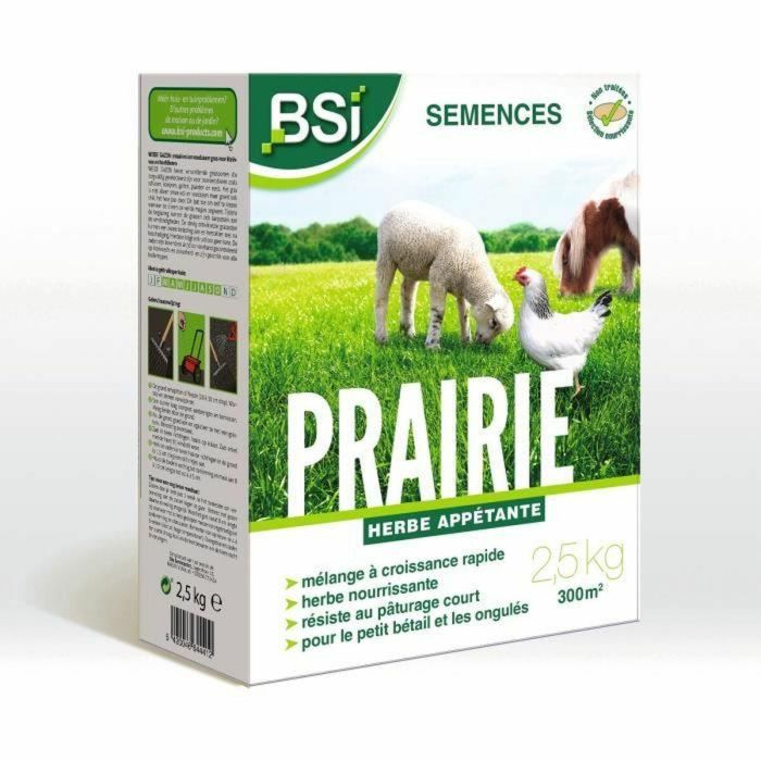 BSI 5420046644412 Semillas de Hierba Pradera Alta calidad Gran Superficie Hasta 375m² 7,5Kg