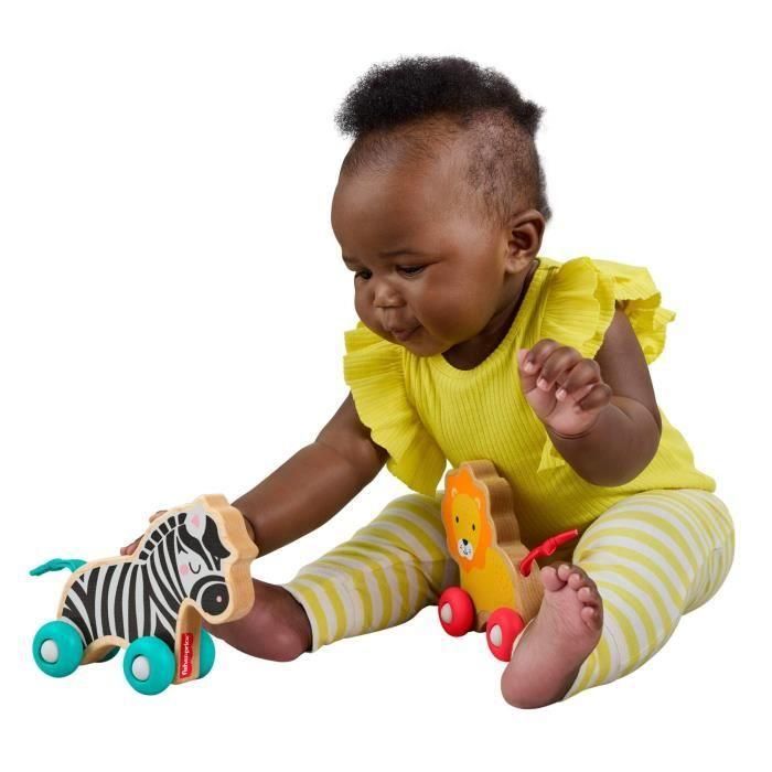 Animales de madera para empujar con forma de hueso de FISHER-PRICE - JFN19 4 Animales de madera para empujar con forma de hueso de FISHER-PRICE - JFN19 4