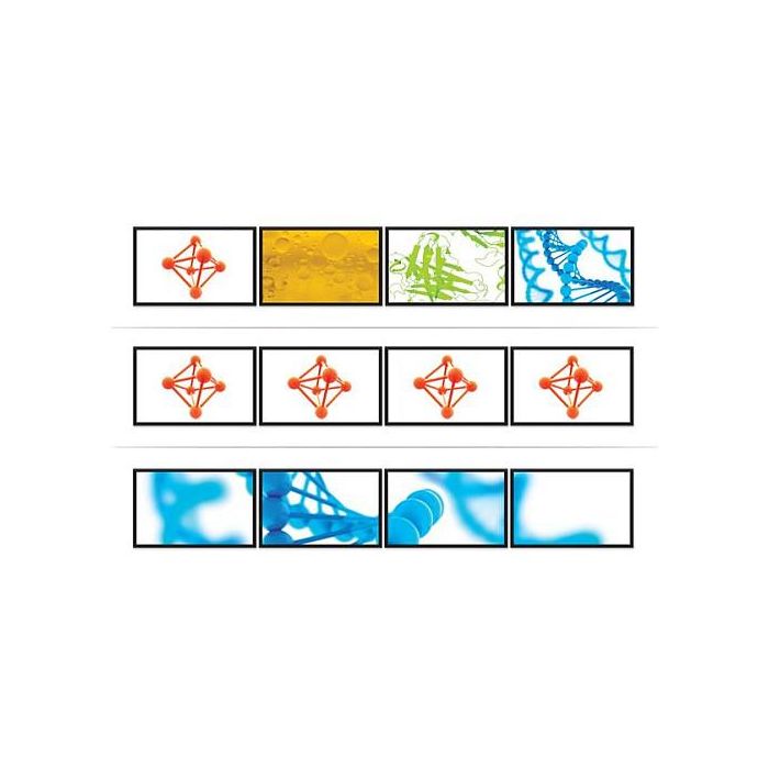 Splitter DisplayPort Startech MSTDP124DP Negro 11