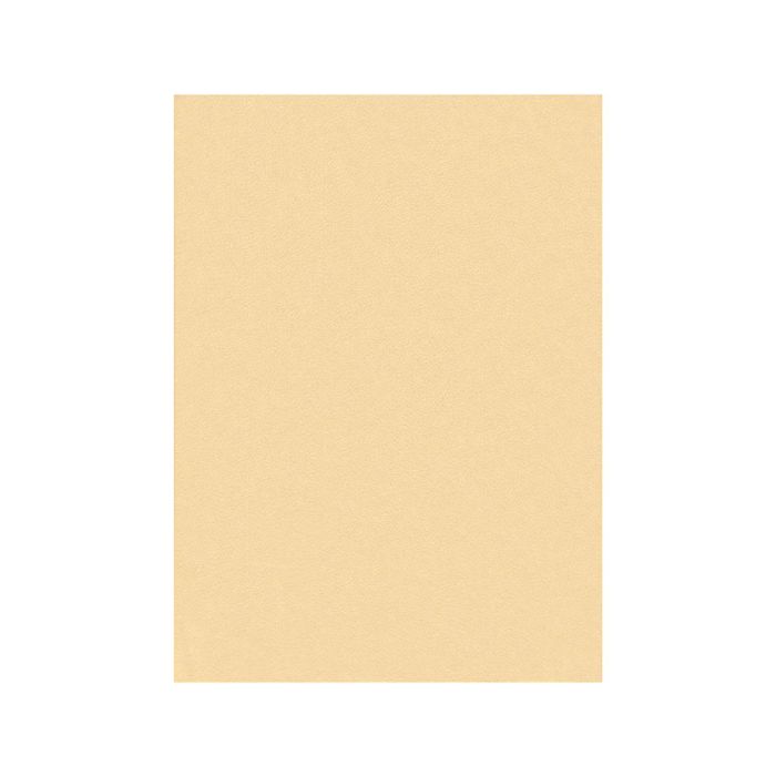 Fieltro Liderpapel 50x70 cm Color Carne 160 gr-M2 10 unidades 1