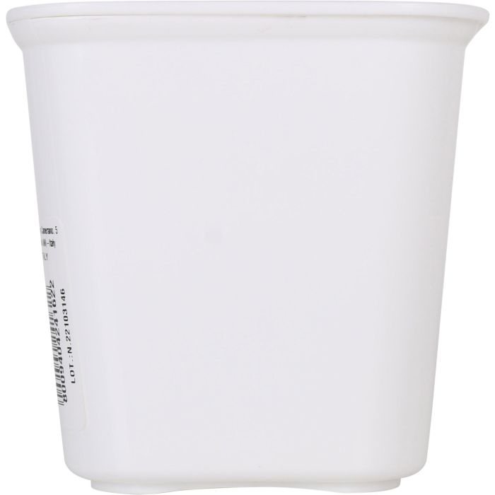 Tontarelli Caja Mini Alta Bella 11.5 x 11.5 x 11 cm con Tapa (12 Unidades)