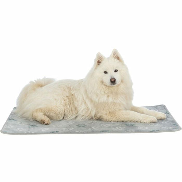 Colchoneta Trixie Gris claro 70 × 50 cm Perro 6 Colchoneta Trixie Gris claro 70 × 50 cm Perro 6