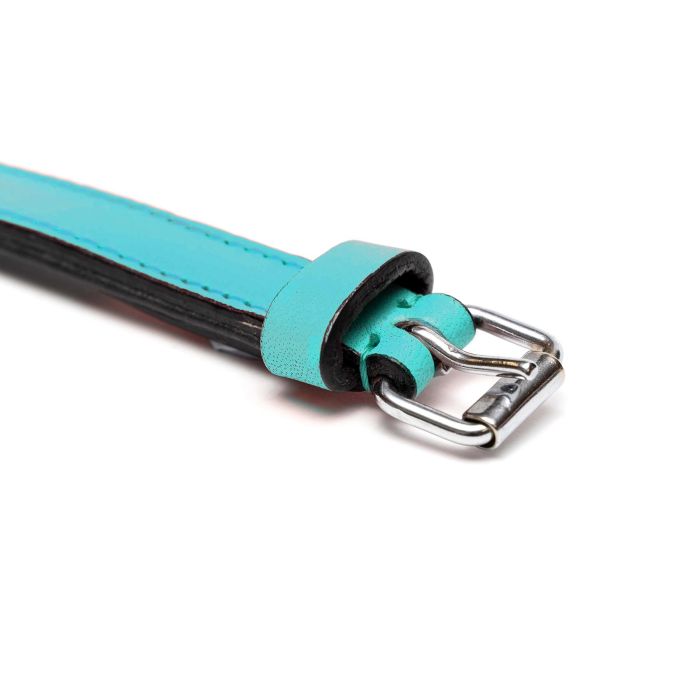Gloria Collar para Perro de Piel Auténtica Acolchado Suave Triple Capa, Máxima Comodidad, 35 cm x 15 mm, Turquesa 6