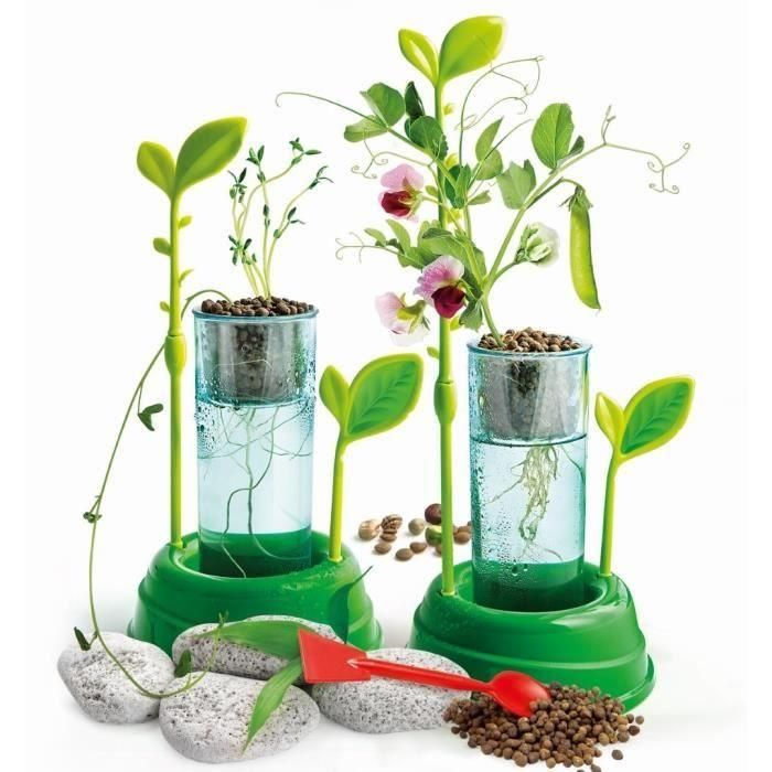 Clementoni Science & Game: Juego Científico de Botánica e Hidroponía para Cultivar Plantas Sin Tierra 1 Clementoni Science & Game: Juego Científico de Botánica e Hidroponía para Cultivar Plantas Sin Tierra 1